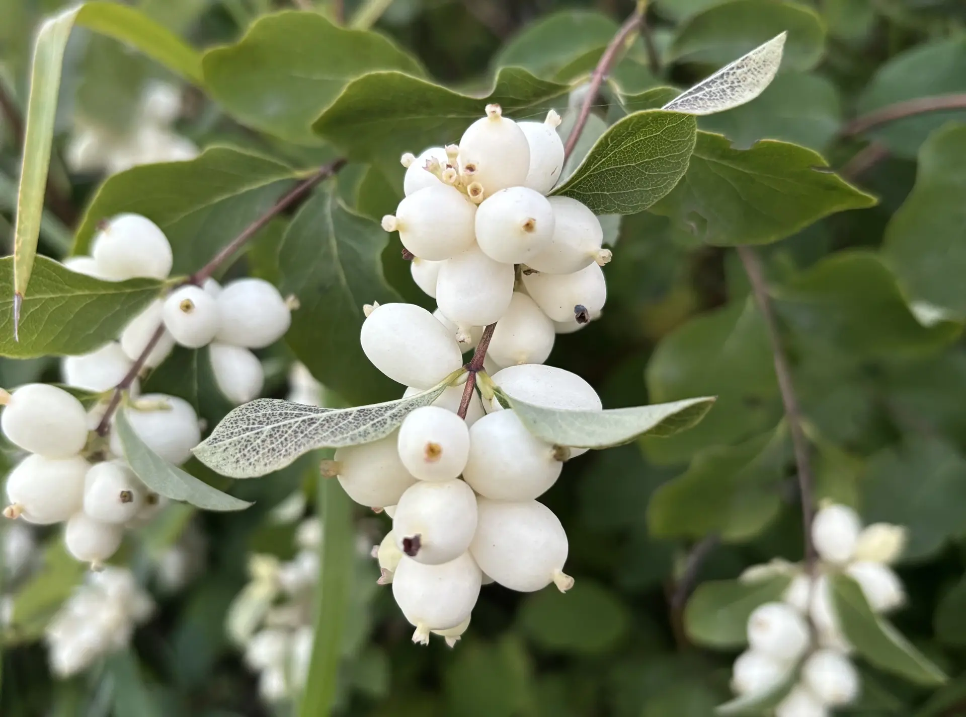 По прогнозам синоптиков, с 5 по 7 сентября местами по Республике Хакасия ожидаются замо...