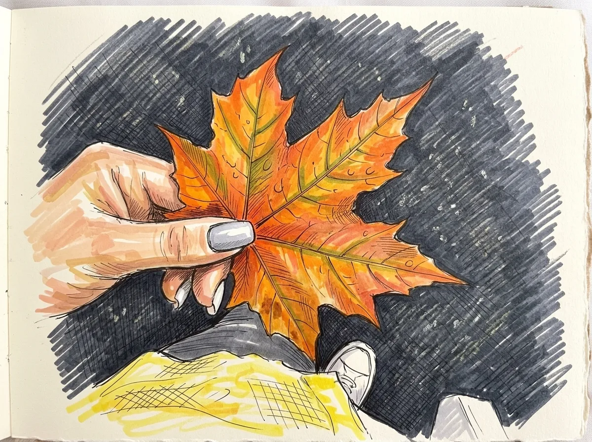 🍂 Осень — не повод для грусти, а повод вечером прогуляться по городу.