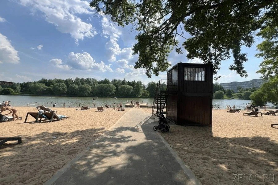В Большом городском пруду запретили купаться


Качество воды здесь не соответствует санитарным норма