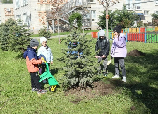 Ёлочка на память🌲