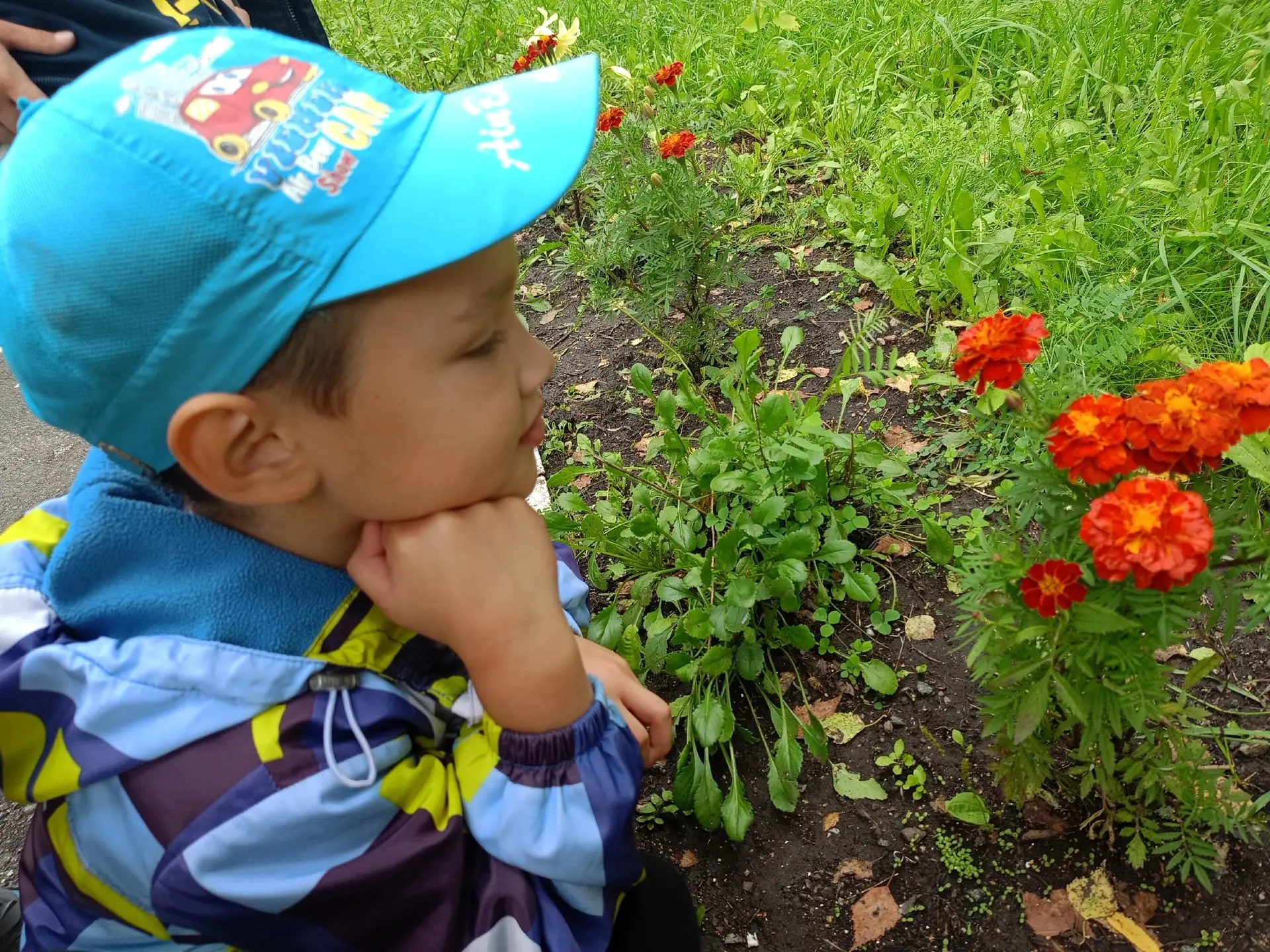 День растений в детском саду: путешествие в мир зелени! 🌿 
 
16 июня в нашем детском саду прошёл ув