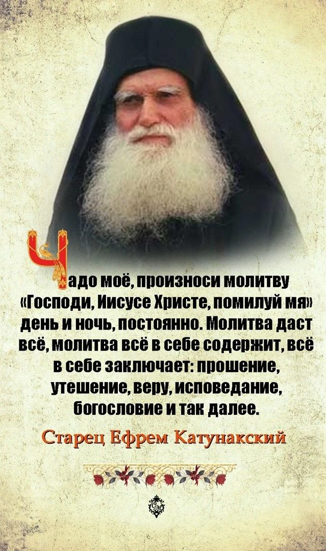 🕊️🌿🙏✨