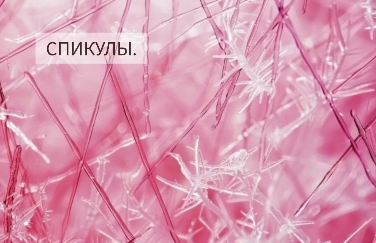 КАНАЛ ОБУЧАЮЩИЕ ГАЙДЫ.
