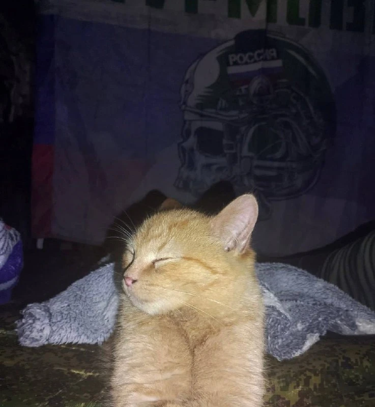 Доброй ночи 😴