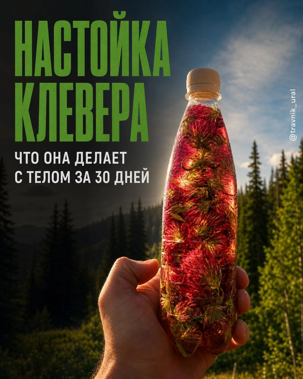 Всем здоровья и отличного вторника! ☘️