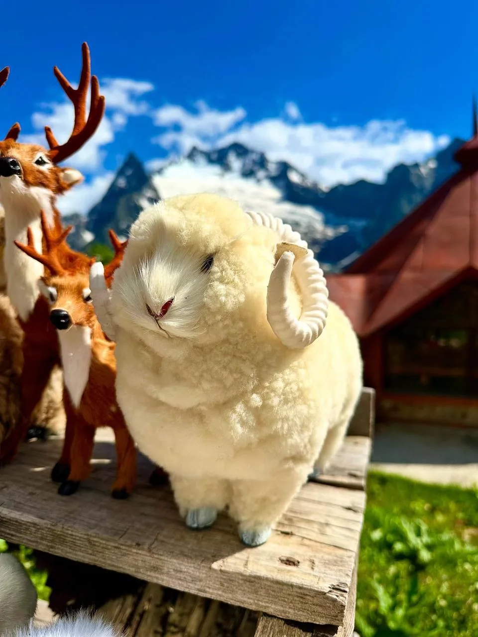 😍 Красивая природа Домбая и Теберды. Ставьте ❤️

📸 Фото: natalya_photo_26stav

• Летний тур в Домб