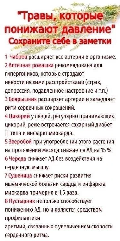 Травы, которые понижают давление  Сохраните в заметки!  Наш второй канал