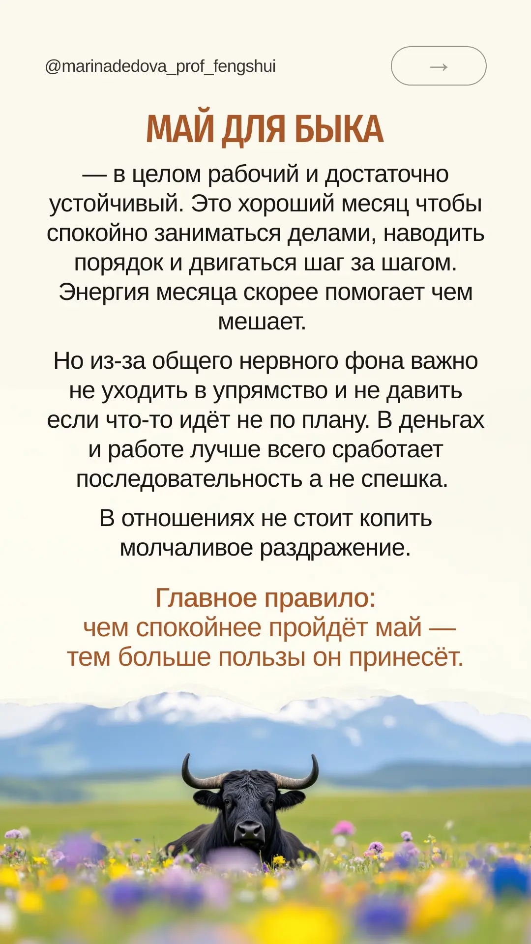 Крыса, Бык, Тигр, Кролик или Дракон в карте рождения — год, месяц, день или час? Листайте до своего 