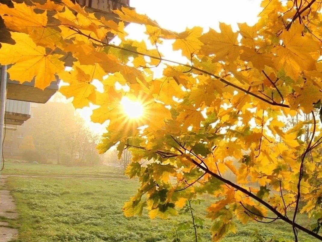Ещё один день🔆