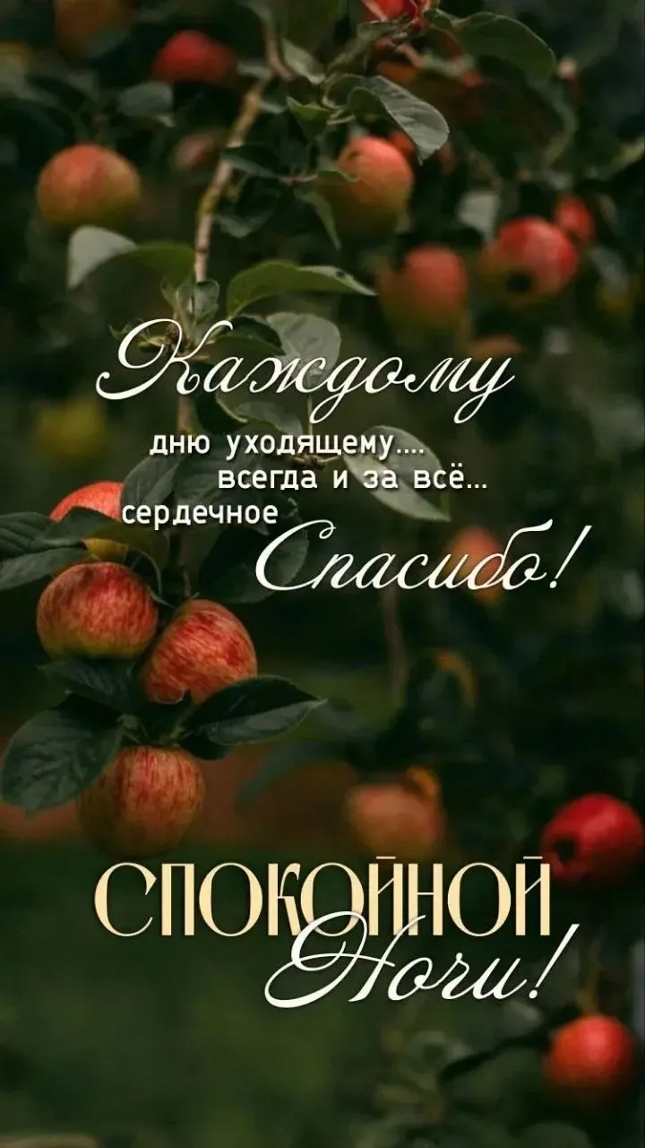 💌 Добрые открытки! Подписаться