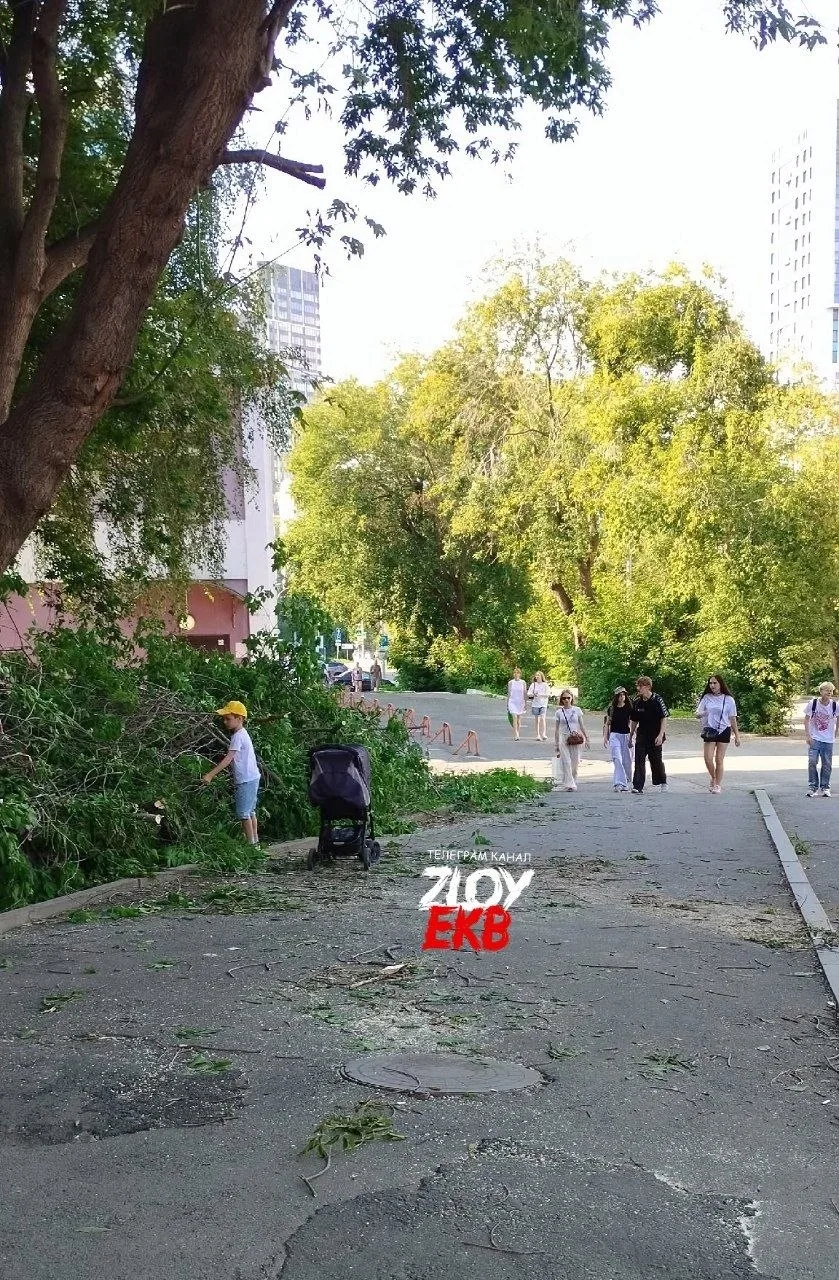 Хохрякова 104 около Монетки.