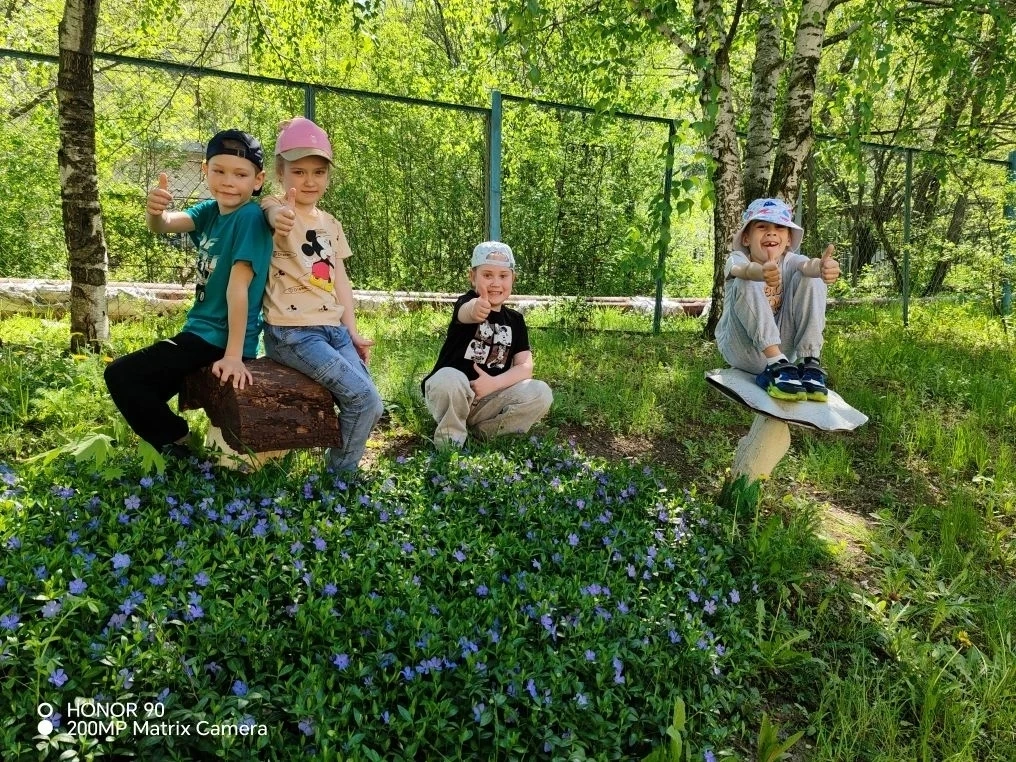 Дождались....! ☀️🌼🌸🌺🐝🐜🐛🦋🐞🦗🦟🕸️