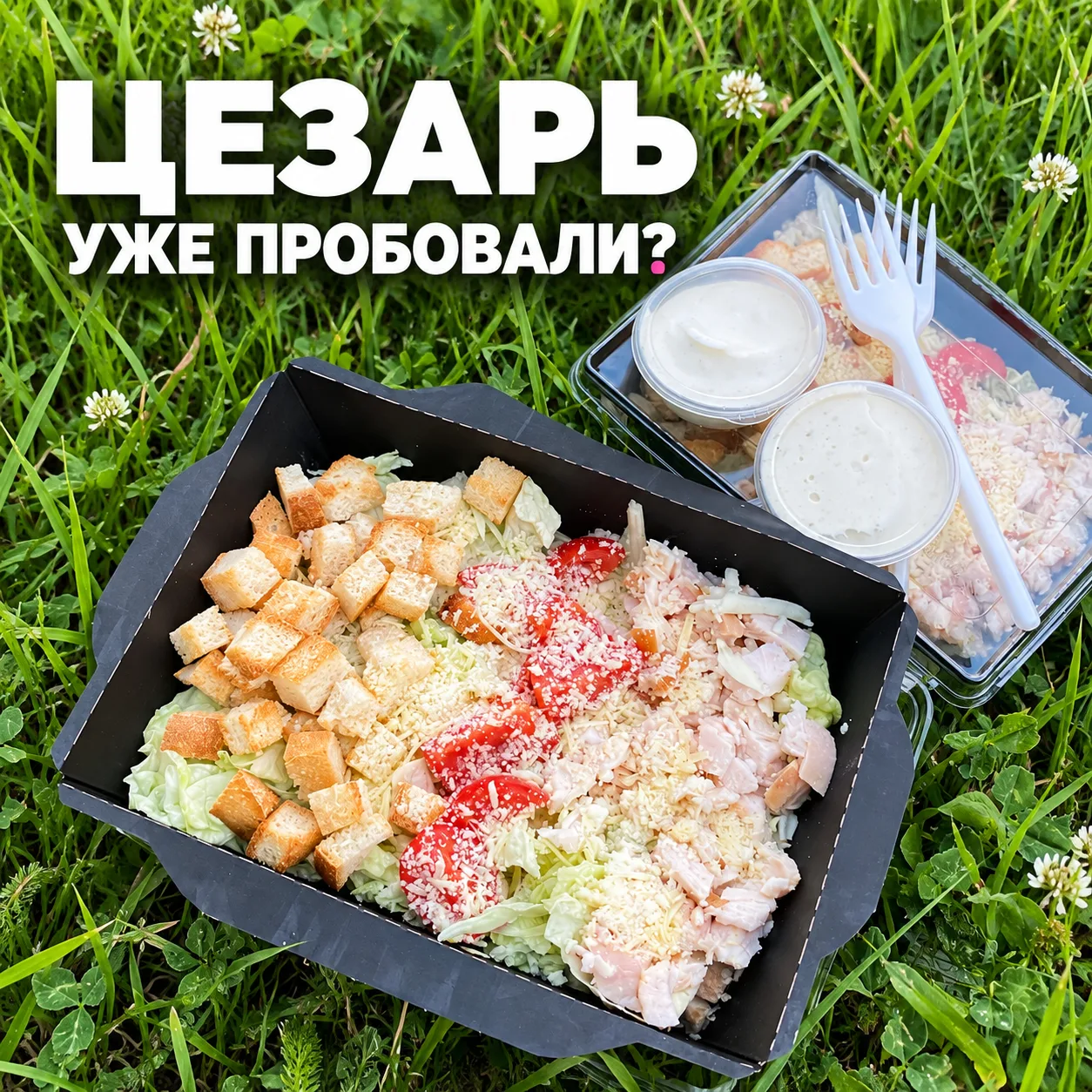 🥷📊 Опрос вкусов