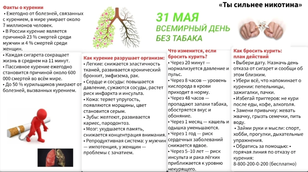 🗓31 мая — Всемирный день без табака (инициатива ВОЗ с 1987 года). Это отличный повод задуматься о с