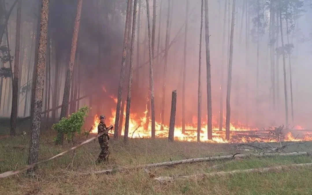 🔥 В Воронежской области по погодным условиям сохраняется III класс опасности из-за вер...