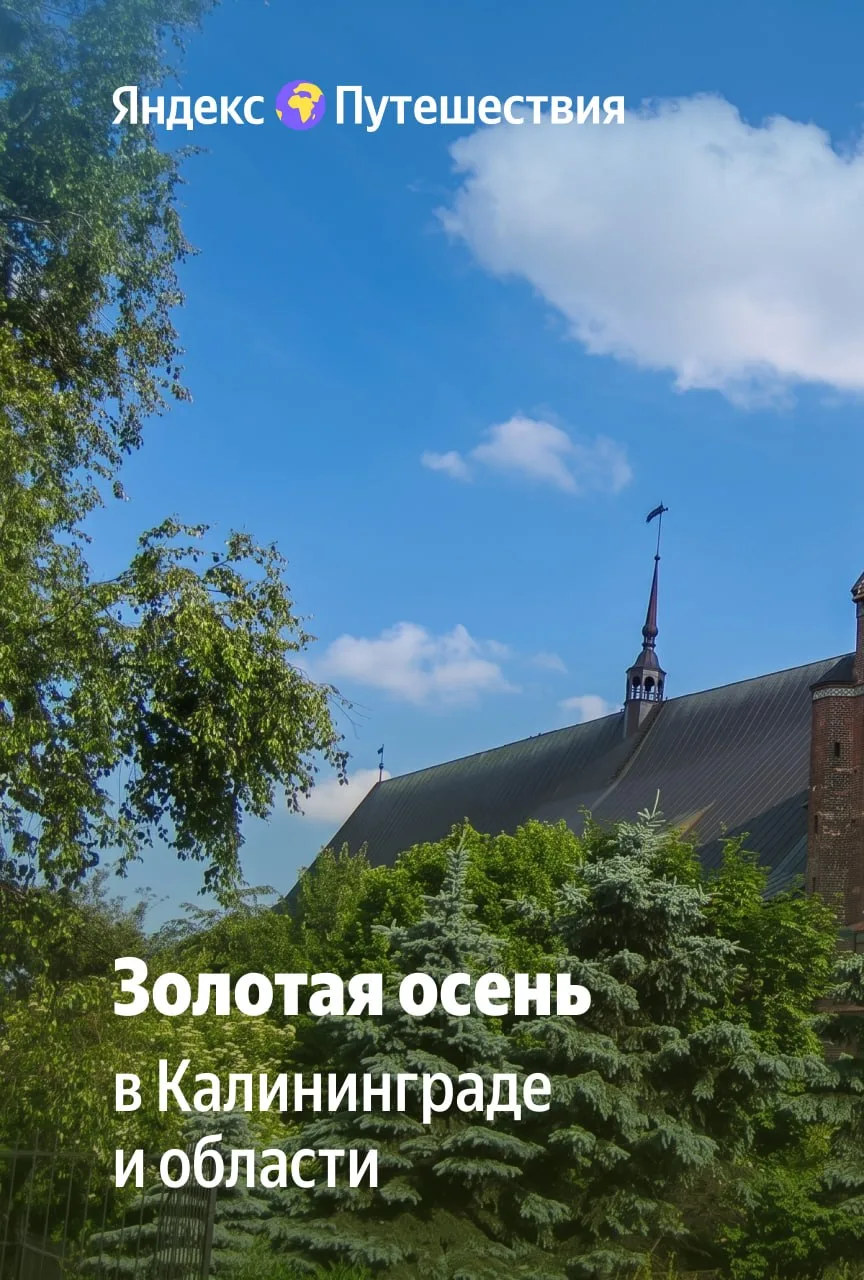 😍 Очей очарованье: не только про осень, но и про…