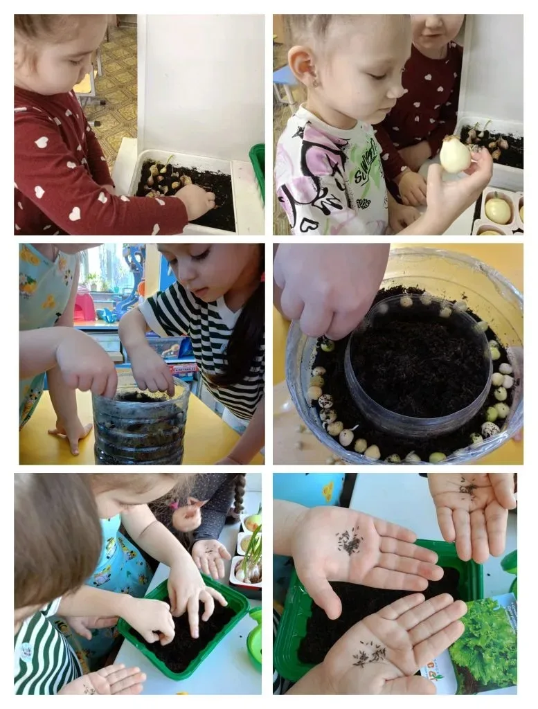 🌱 Прощаемся с зимой, встречаем весну на подоконнике! 🌿https://vk.ru/wall-216562630_4868