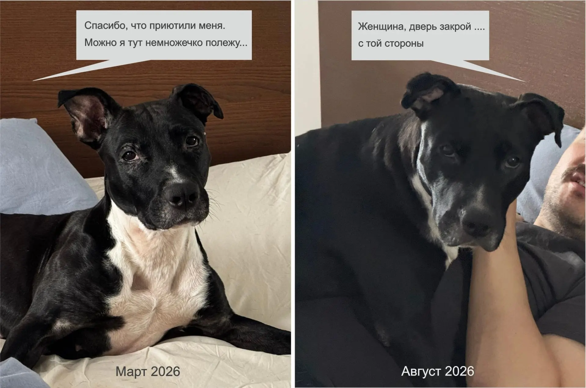 Ника желает всем доброго утра!