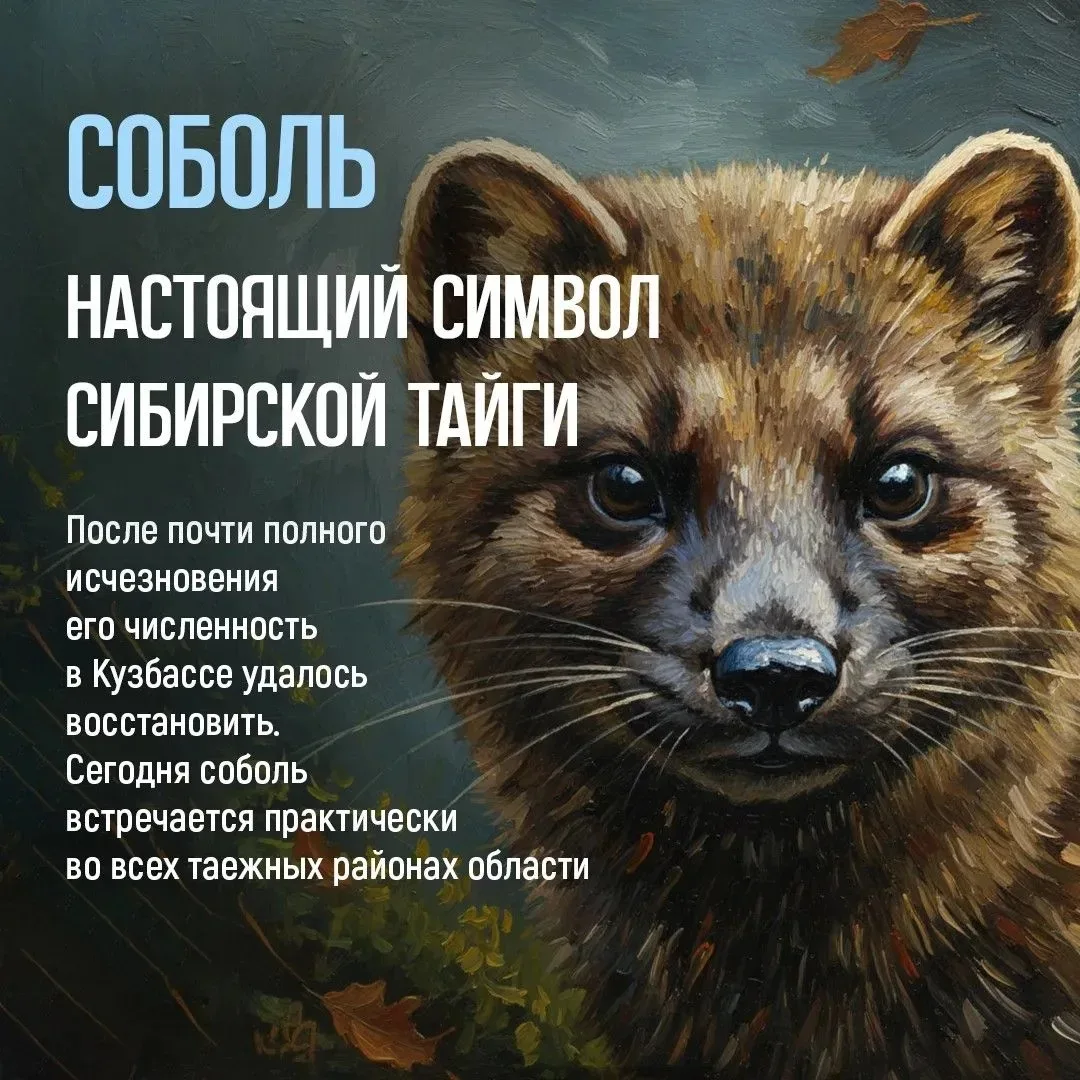 🌲 Кузбасская тайга хранит немало секретов

Здесь, среди гор, рек и бескрайних лесов, обитают бурые 
