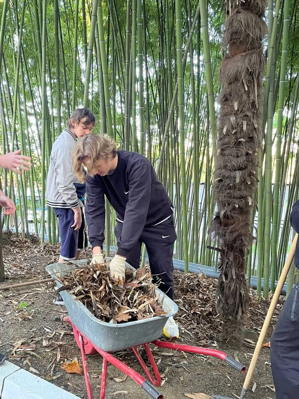 Прекрасное утро понедельника начинаем с главного! С заботы о любимом городе ❤️