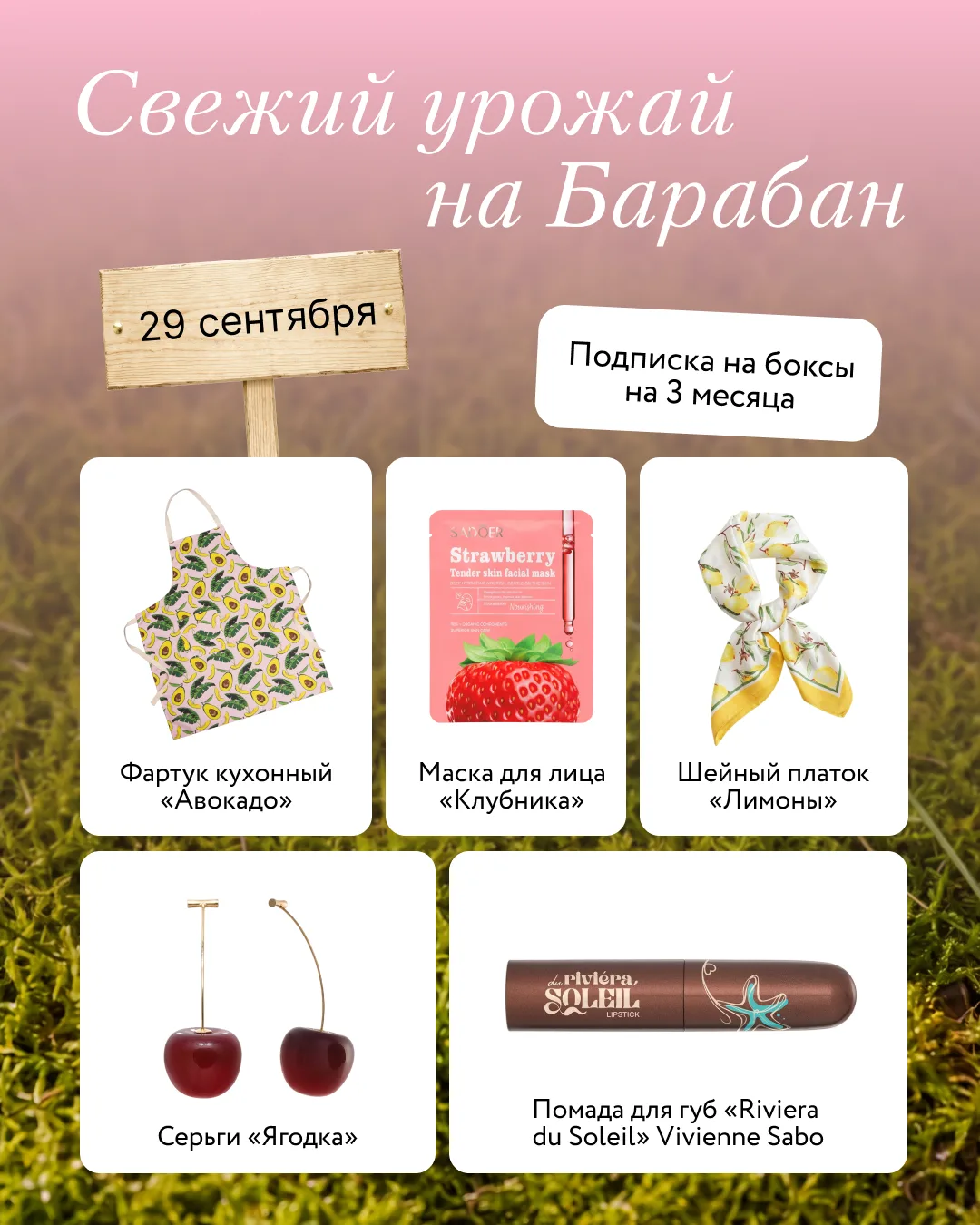 Что сегодня на грядке — 29 сентября? 🧑‍🌾