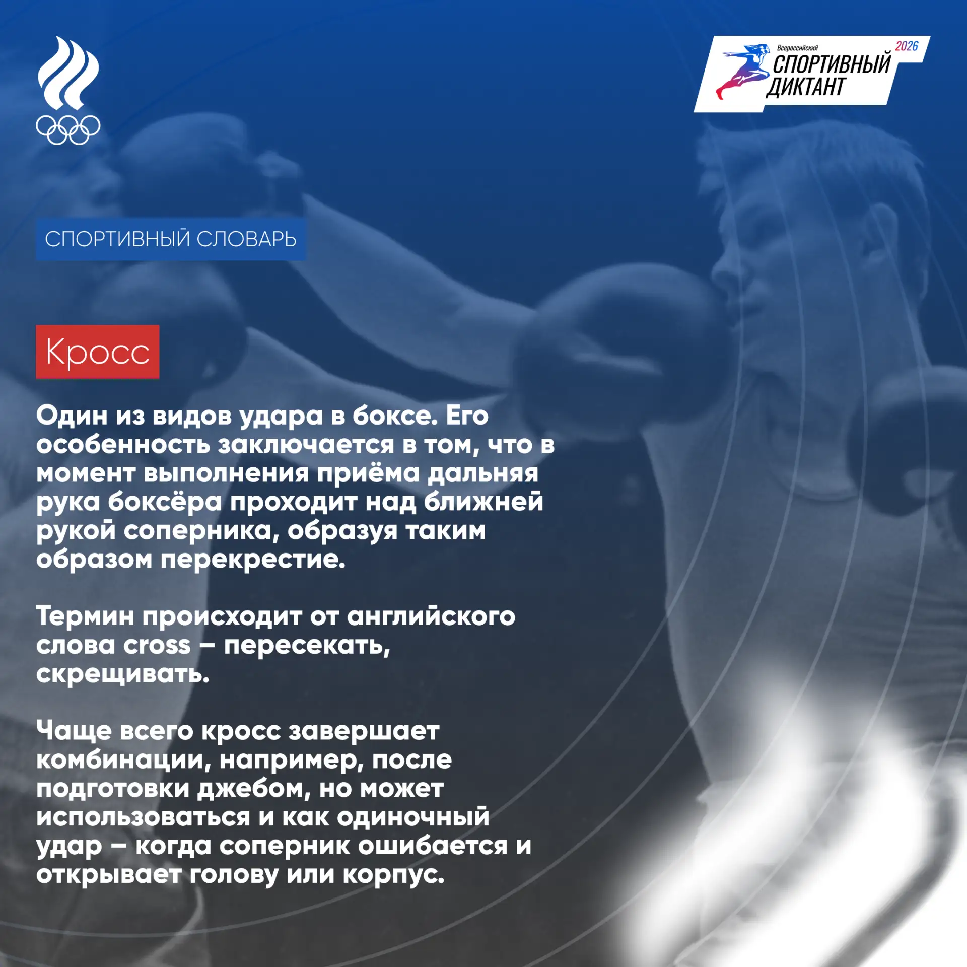 📚 К чемпионату Европы по боксу, стартующему в четверг в Болгарии, подготовили новый вы...