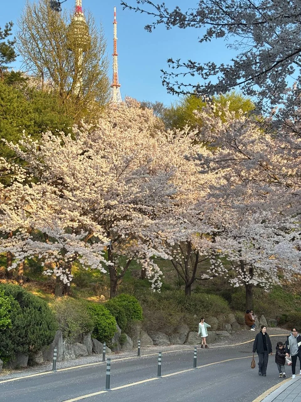 🇰🇷наши туристы только что вернулись из Сеула, организовывали им тур на концерт любимых артистов, и