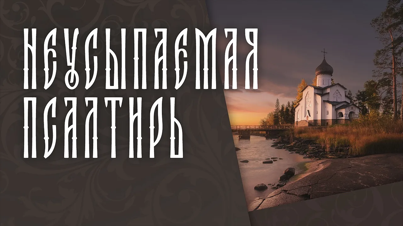 🔴 #ПрямаяТрансляция: RUTUBE | VK | YouTube | 17 VI 26 | 19:00