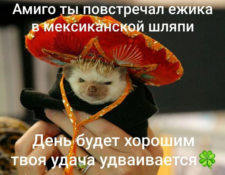 Как же вам повезло с утра пораньше.

Доброе удачное!
