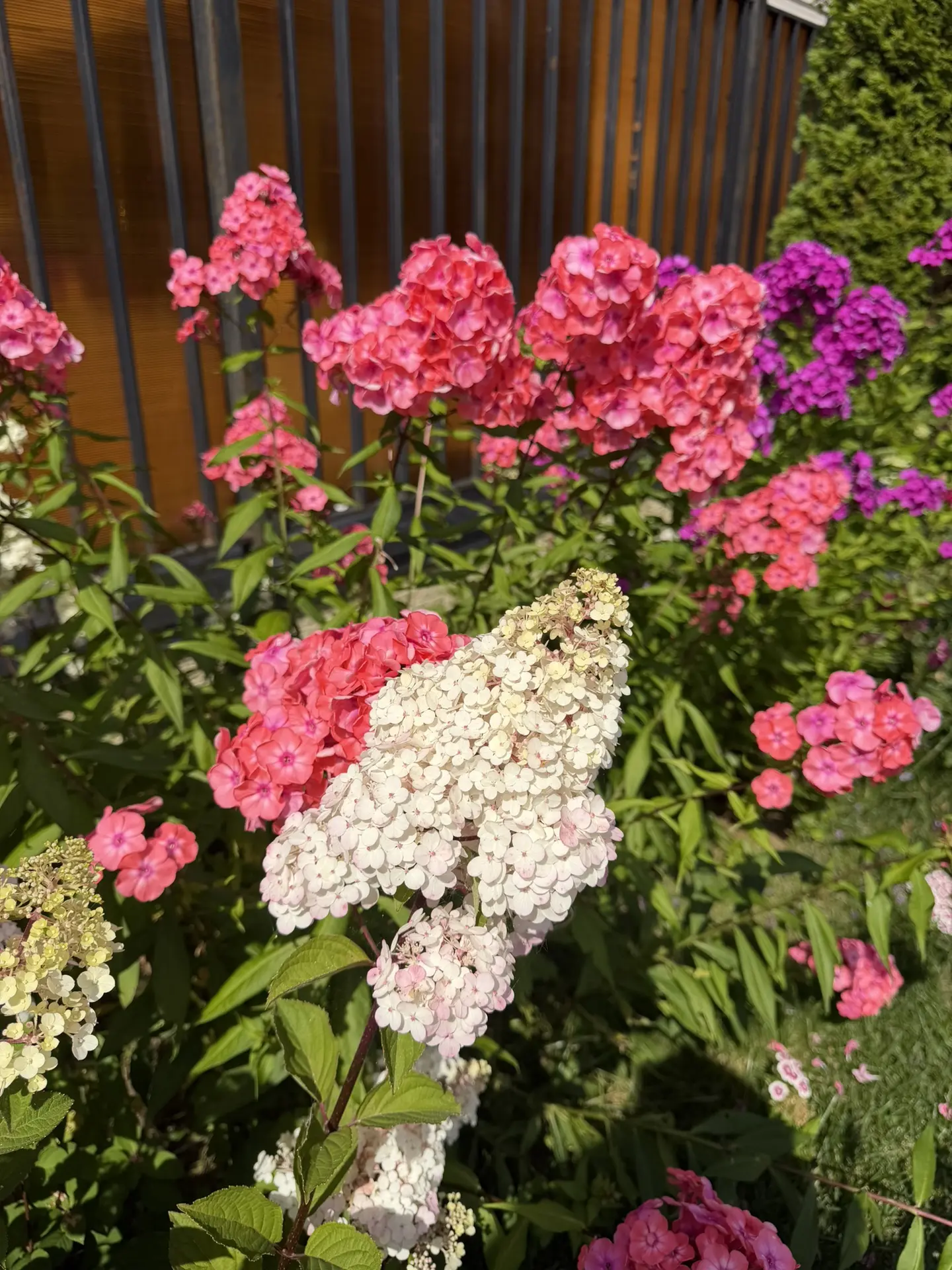 Немного моей красоты вам в ленту💜