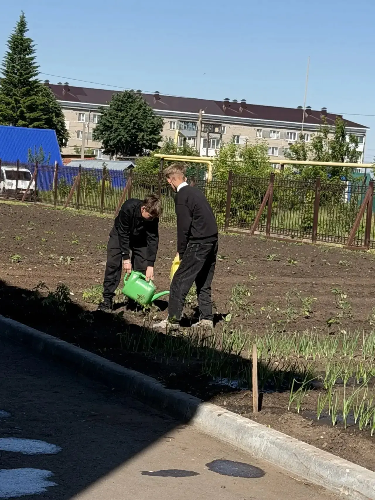 На пришкольном участке кипела работа. Ребята из ЛТО «Созвездие труда», вооружившись лей...