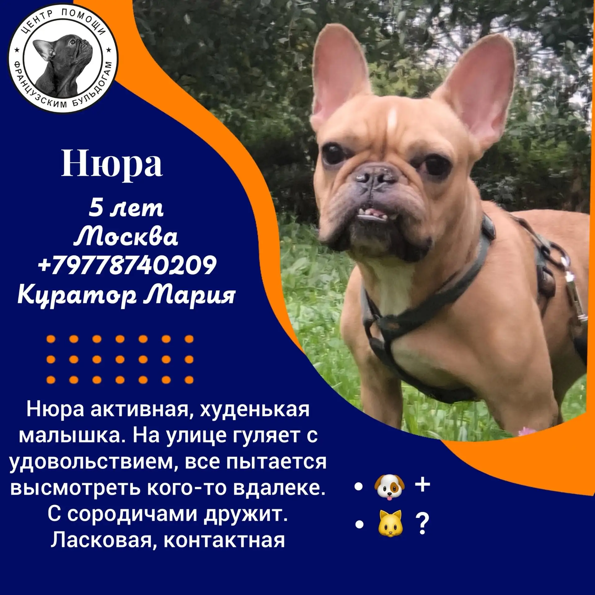 Сердца разбиваются от этой истории... 💔 Им срочно нужен человек!