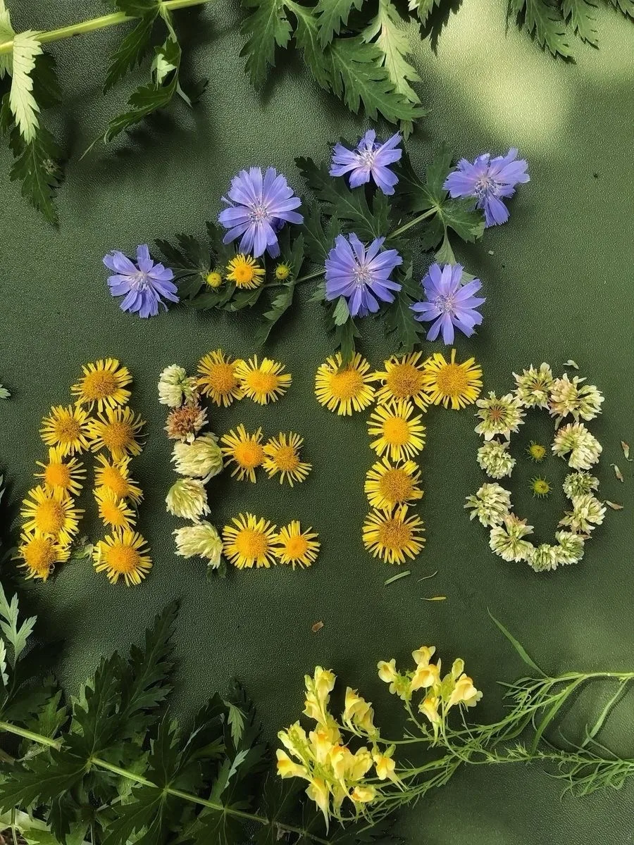 Вот и подходит к концу лето… ☀️