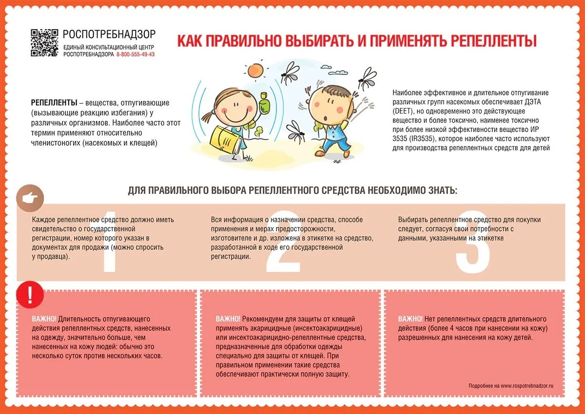 Средства от клещей – какими они бывают?