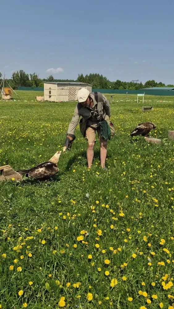 ☀️💛 Ребята 4в класса посетили центр Соколиной охоты. Увлекательный квест, лекция в музее, знакомство