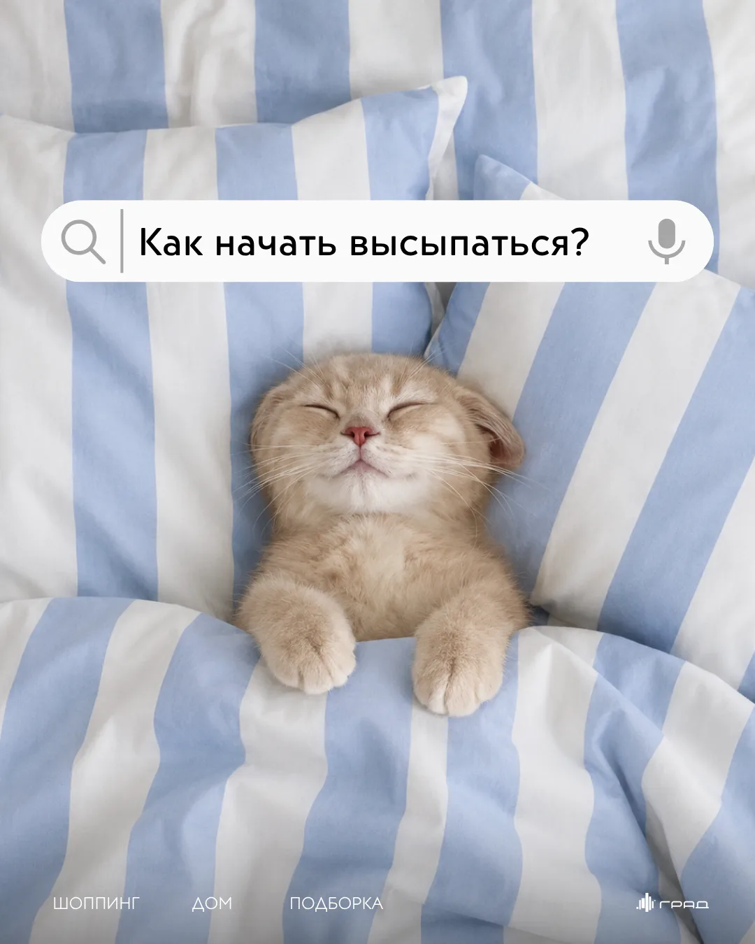 💤 Хороший сон — это не роскошь, а одна из главных инвестиций в здоровье, продуктивность и настроени