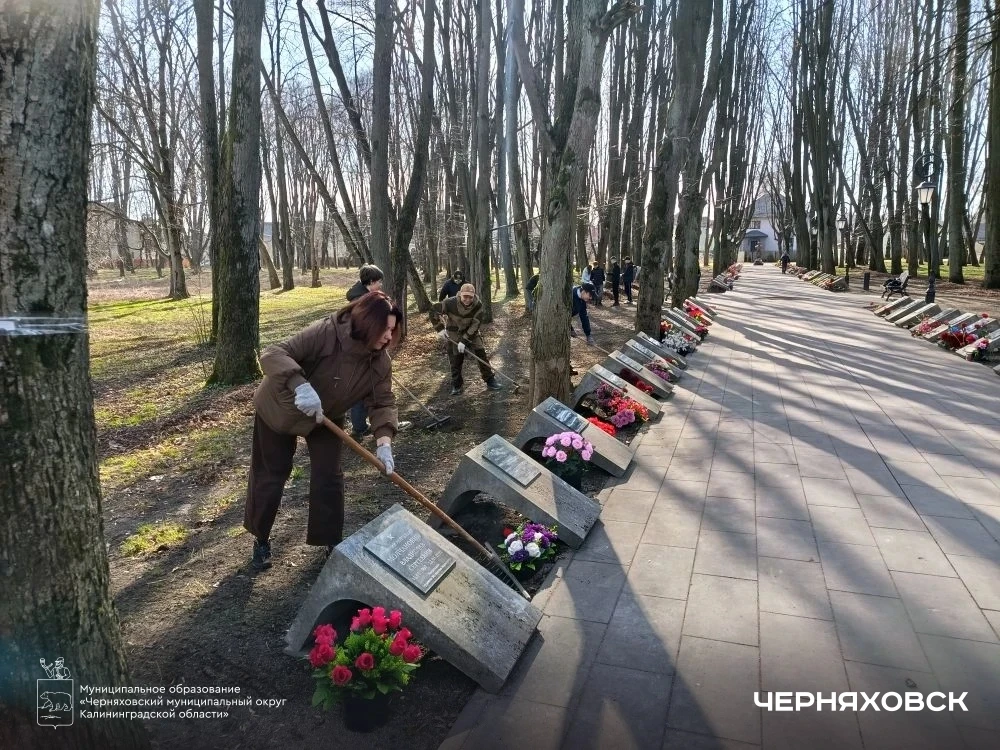 Черняховск присоединился к масштабному общерегиональному субботнику   Сегодня во всех муниципалитета