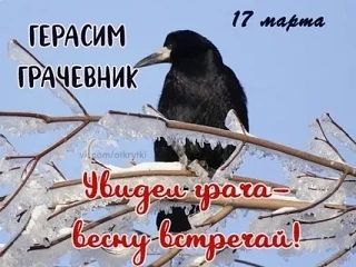17 марта отмечается праздник «Герасим-Грачевник», символизирующий возвращение грачей с ...