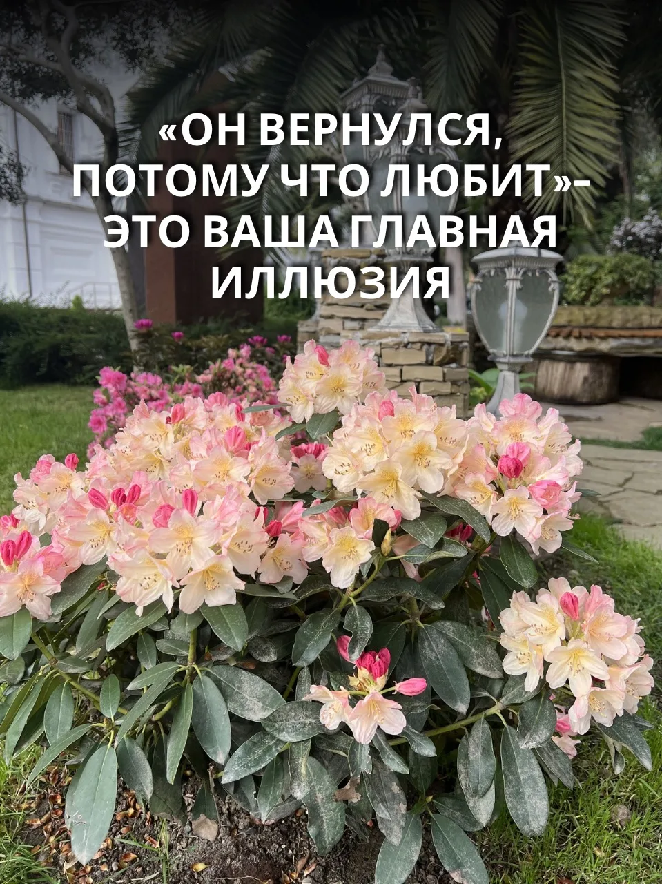 «Он вернулся, потому что любит»- это ваша главная иллюзия
