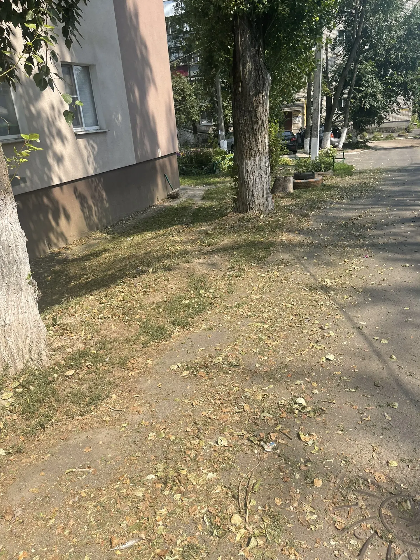 Покос сорной растительности на 4 х Мкд , Мичурина 133, 50 лет Октября 143б + 147+147 а