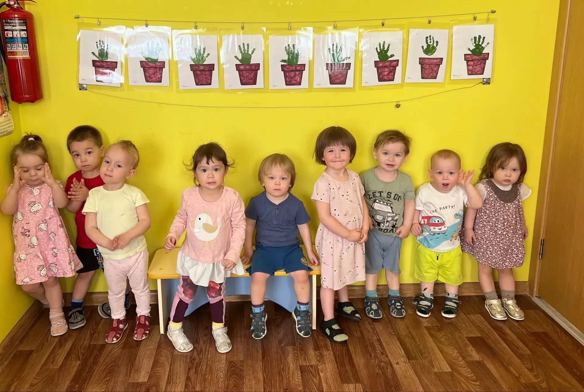 Родители , смотрите, какие чудесные кактусы расцвели у нас в группе! 🌸🌵
