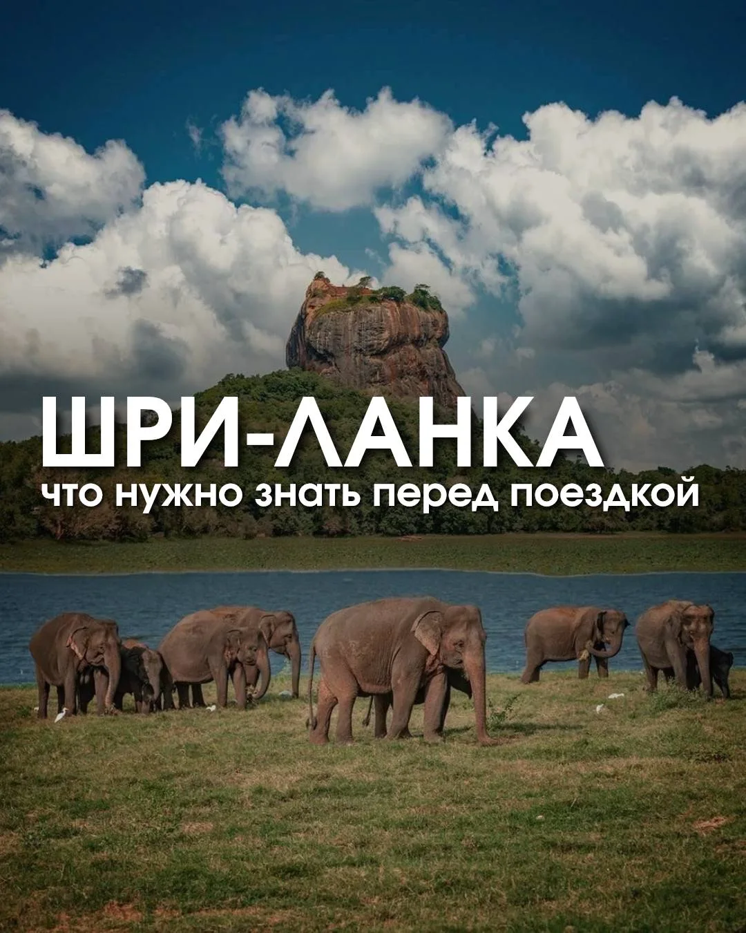 Ваша шпаргалка по Шри-Ланке🐘