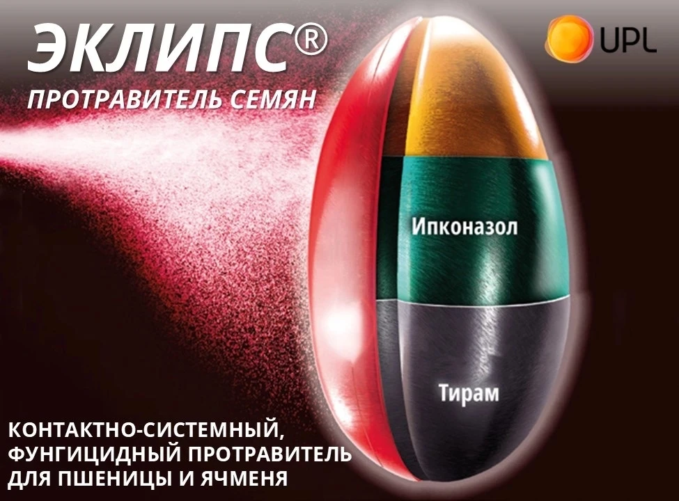 Инвестиция в семена, которая окупается: серия постов о протравителе ЭКЛИПС®.