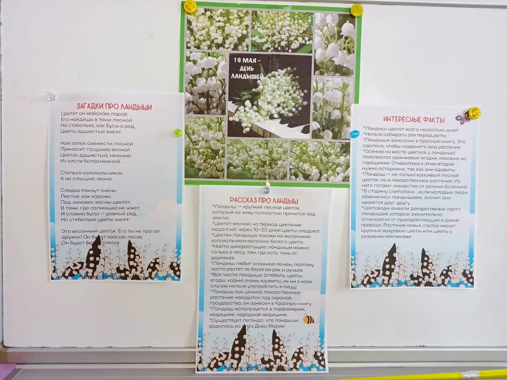 🌱В старшей группе был организован тематический день, посвящённый ландышу.