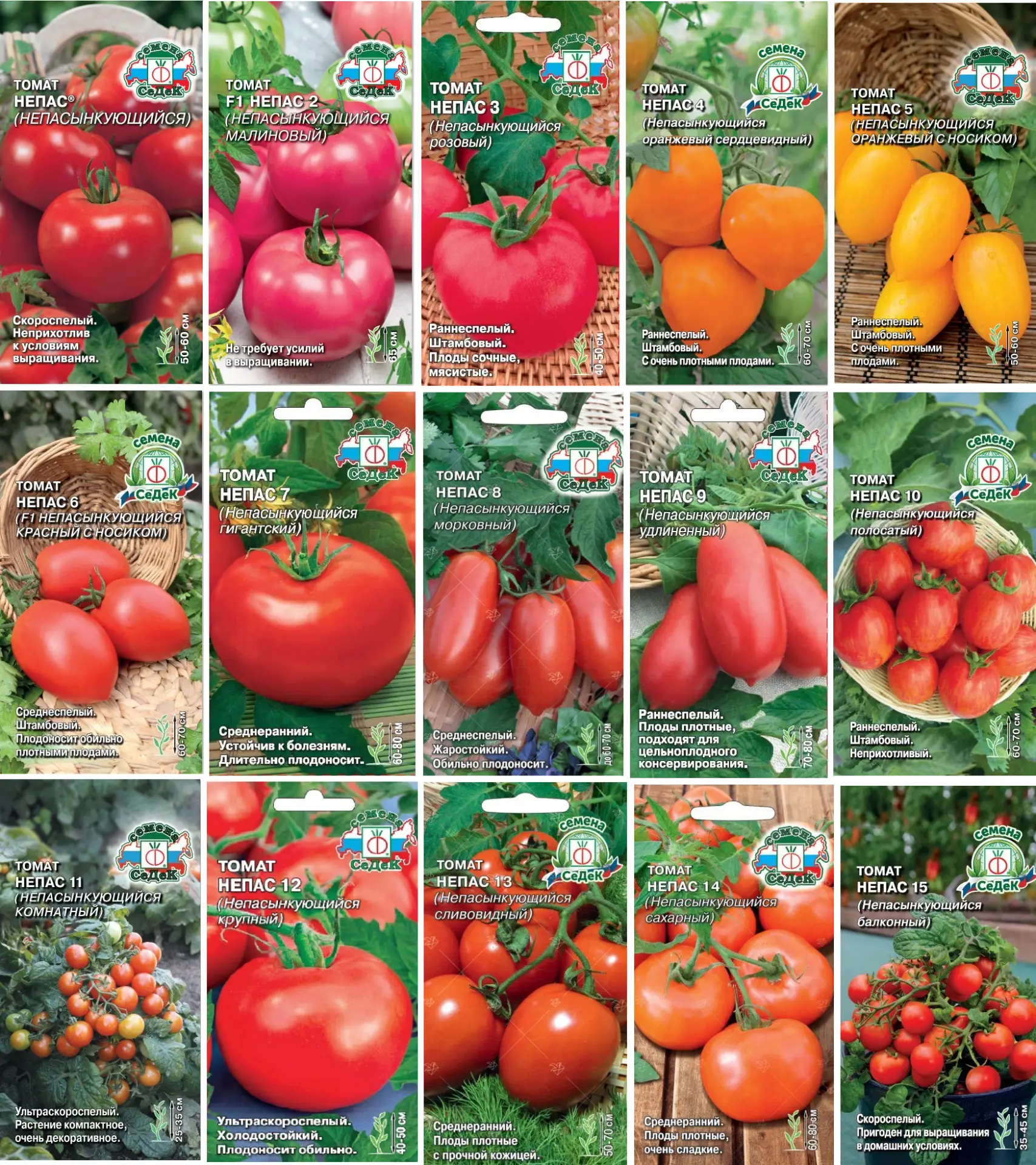 👍🍅 «НЕПАС» - ЗНАЧИТ НЕПАСЫНКУЮЩИЙСЯ ИЛИ ТОМАТ ВЫХОДНОГО ДНЯ!  👍 Каждый огородник мечтает о сортах и 