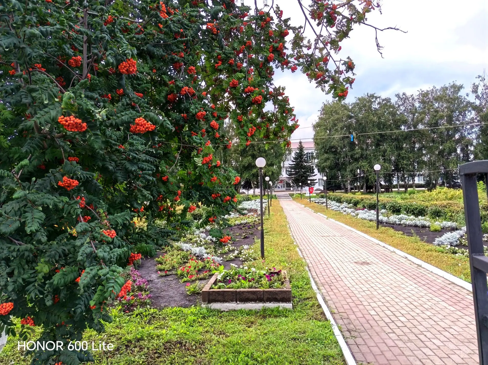 Доброе утро ❤️ До 1 сентября осталась неделя 🌼🤗