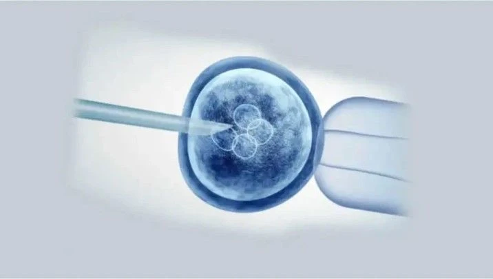 ⚕️ ПГТ-А: как генетический тест эмбриона влияет на беременность?