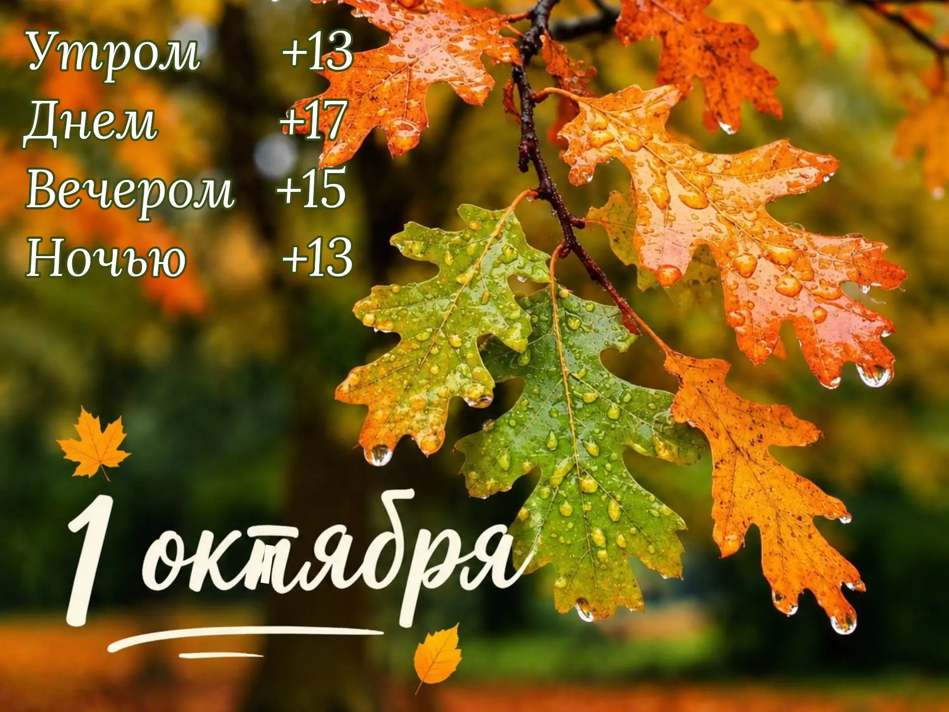 Доброе утро!