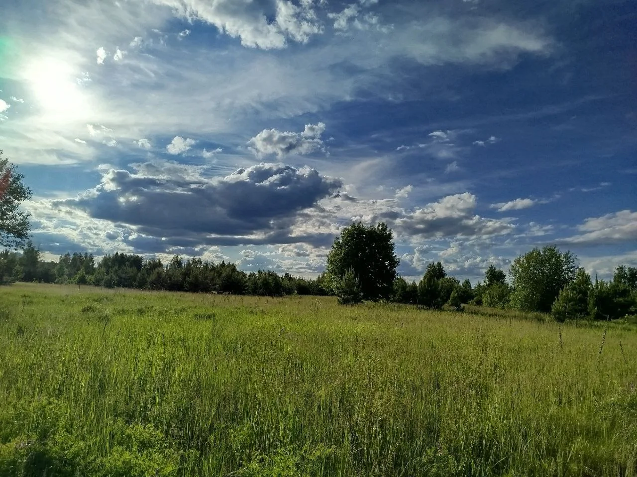 Последний день весны и первый вдох лета 🌿☀️🌸✨