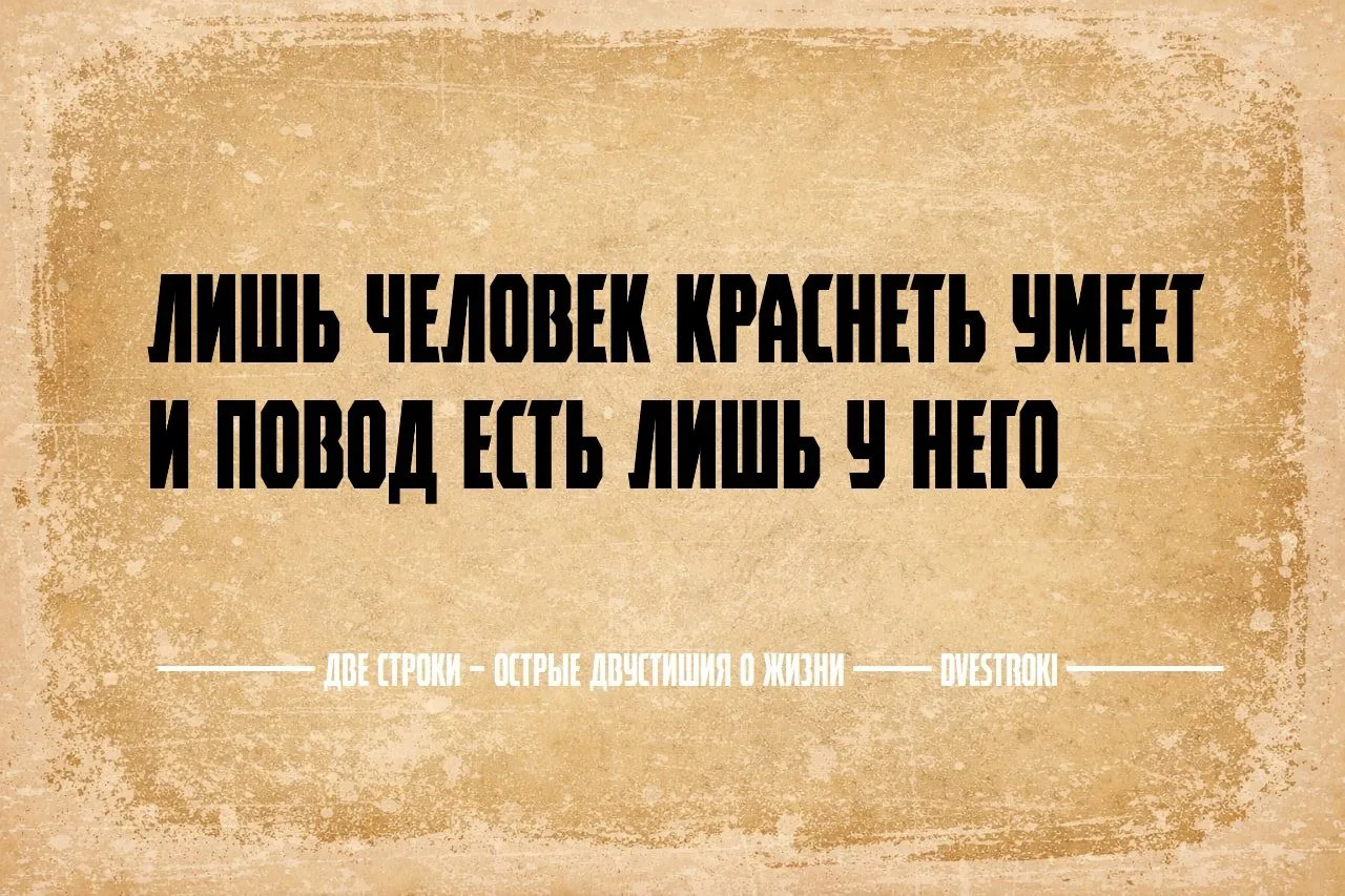 Две строки – остроумные двустишия в Telegram и Мах